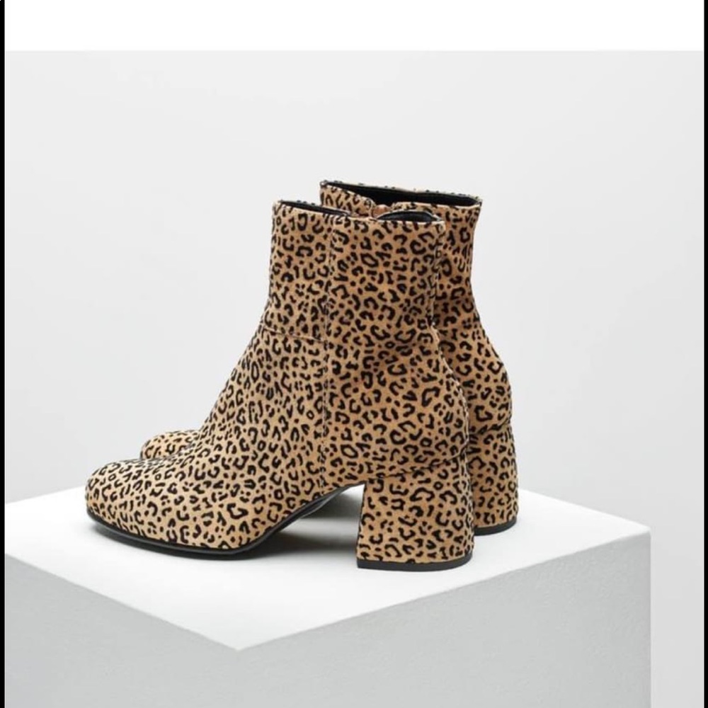 Maguire “Ravenna” leopard booties